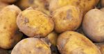 Zabranjen uvoz krompira zbog nedozvoljene količine pesticida